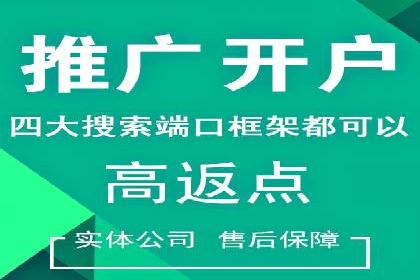 百度竞价排名优化技巧与成功案例分享